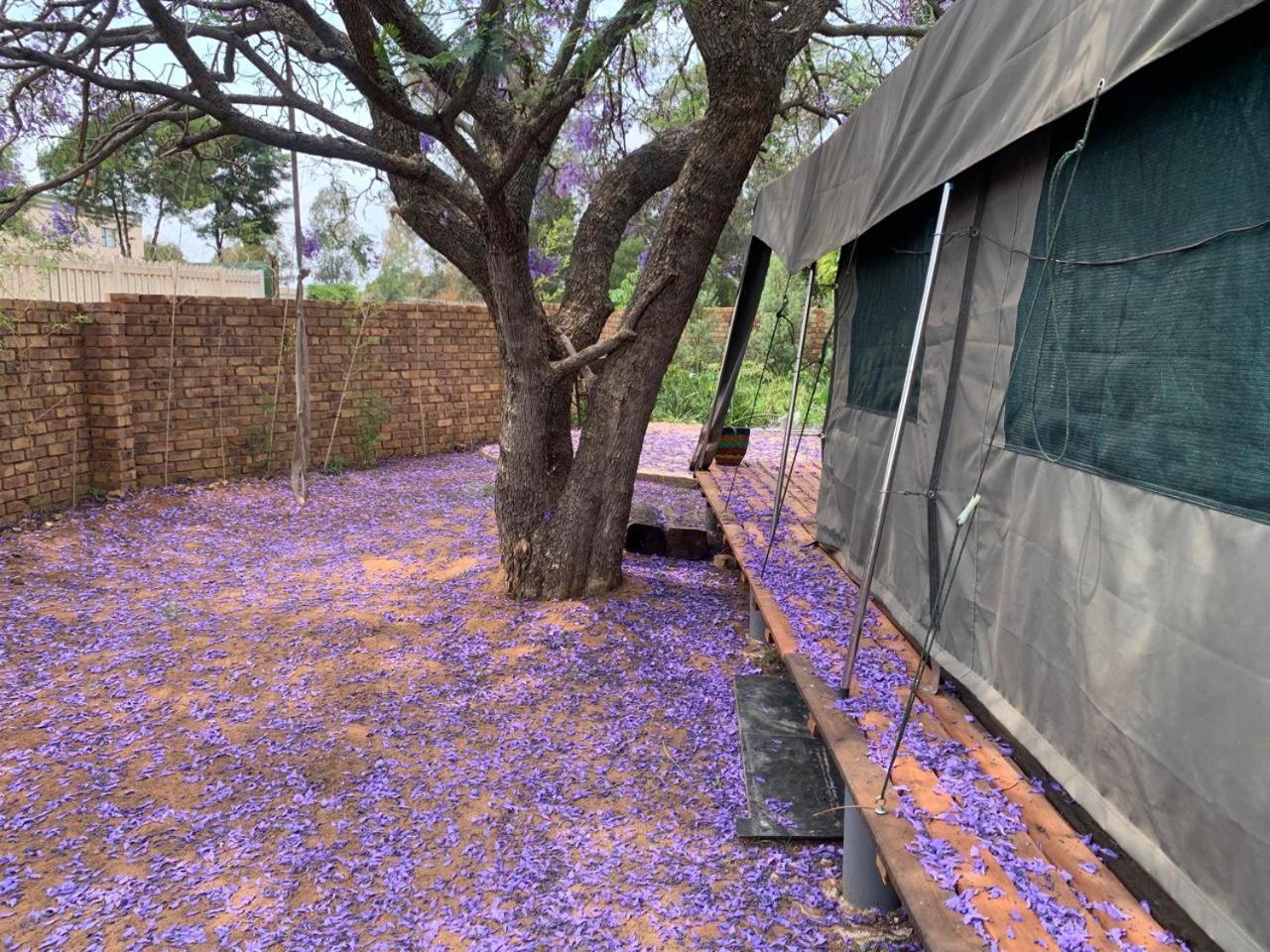Sunset Cottage at Viva Connect, Cullinan Meule Esterno foto